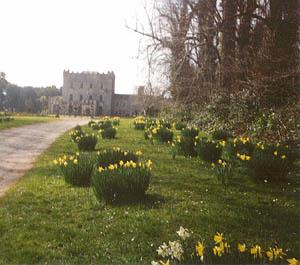 Castle in Springtime