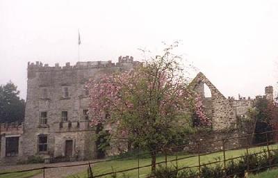 Clonegal Castle in Springtime